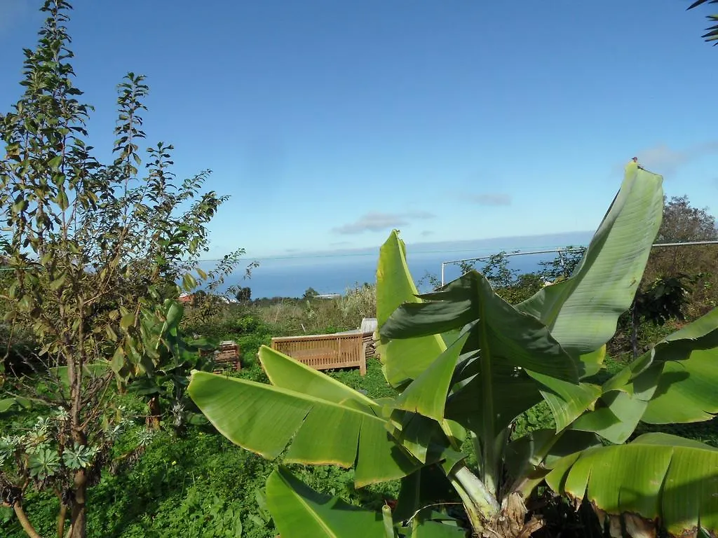 Holiday home Finca Cueva Del Viento Icod De Los Vinos Spain